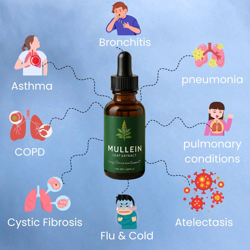 LungLift™ Mullein + Chlorophyll Drops
