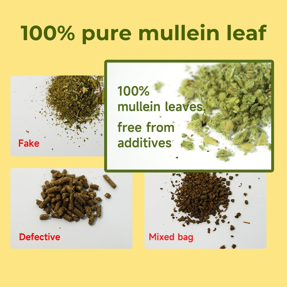 BreathePure Herbal Lung Tea