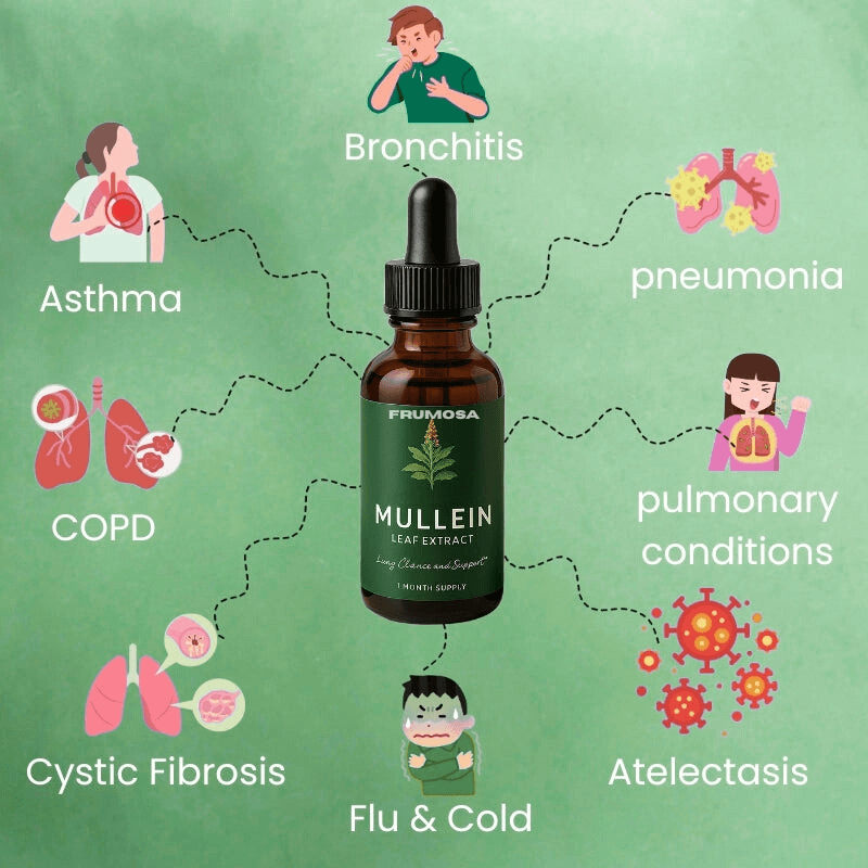 Mullein + Chlorophyll Drops 60ml