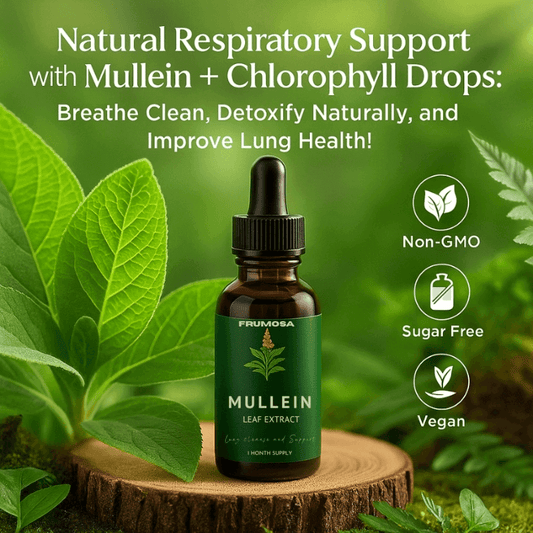 Mullein + Chlorophyll Drops 60ml